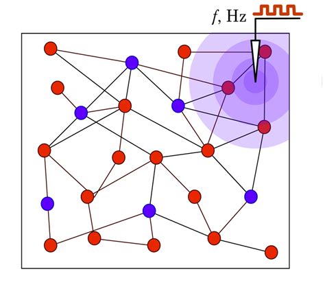 Schematic Representation Of Spiking Neuron Network Snn Construction