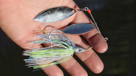 Fall Bass Fishing With Spinnerbaits How To Choose The Best One For The