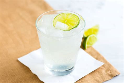 The Best Gin and Tonic Recipe