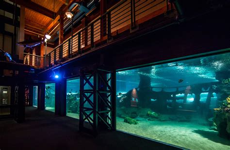 Greater Cleveland Aquarium Marinescape Eco Aquariums
