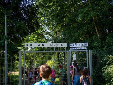 Lernen Am Lebensraum Teich Das Gr Ne Klassenzimmer Ulm