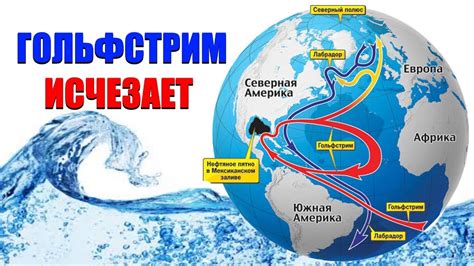 Течение Гольфстрим может исчезнуть. Климатические изменения. Выпуск 84 ...