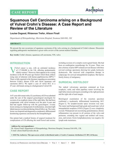 Pdf Squamous Cell Carcinoma Arising On A Background Of Vulval Crohns