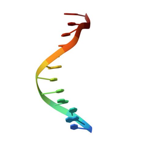 Rcsb Pdb Eyq Racemic Crystal Structures Of Pribnow Box Consensus