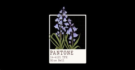Pantone Blue Bell Flowers Designer Sticker Teepublic