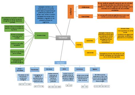 Enzimas Mapa Conceptual Gu A Paso A Paso Hot Sex Picture