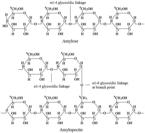 Physical And Chemical Modifications In Starch Structure And Reactivity