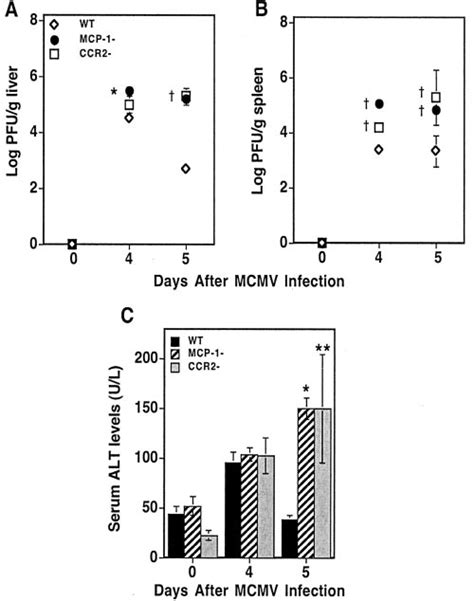 Effects Of Mcp And Ccr On Susceptibility To Mcmv Infection C Bl