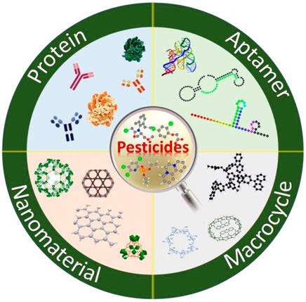 Frontiers Multiple Recognition Based Sensor For Pesticide Residues