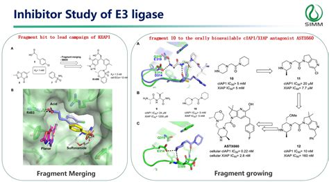 Viva Insights Salon: FBDD--Exploring the Unlimited Possibilities of FIC ... 