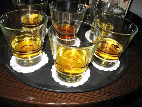 MY WILD IRISH WHISKEY TASTING | Sweet Leisure