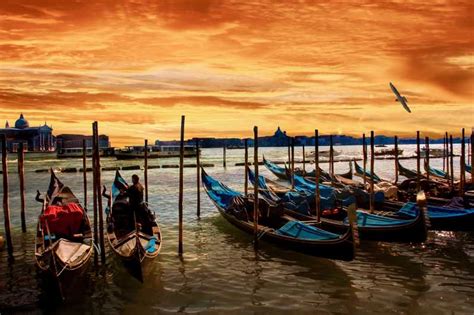 Venezia Crociera Con Aperitivo Sulla Laguna Al Tramonto GetYourGuide