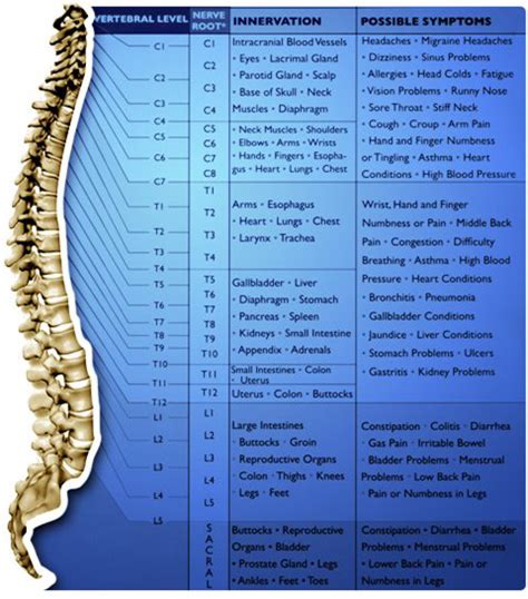 Atlas Orthogonal Chiropractic Care Chiropractor In Charlotte Nc Meehan Chiropractic And