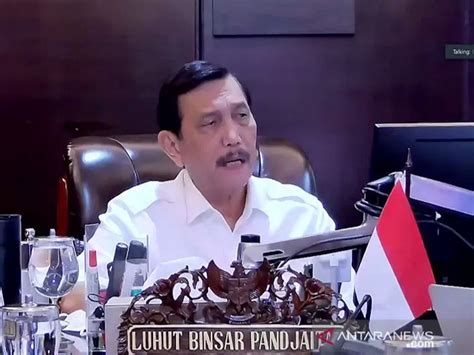 Dianggap Bohong Soal Big Data Luhut Binsar Kena Sanksi Pidana