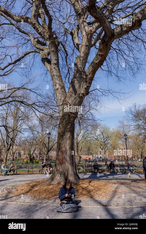 Hare Krishna Elm Tree Site Of First Chanting Outside Of India