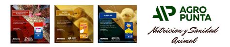 Alimento Iniciador Para Pollos De Postura Agro Punta Agroshow