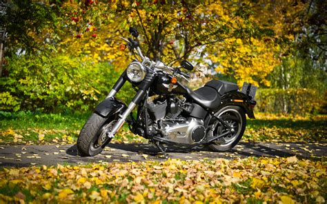 Wallpaper Car Bicycle Motorcycle Foliage Harley Davidson Autumn