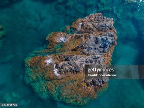 Vista Cenital Photos And Premium High Res Pictures Getty Images