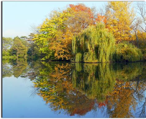 Wallpaper Autumn Light Reflection Nature Colors Pond Atmosphere