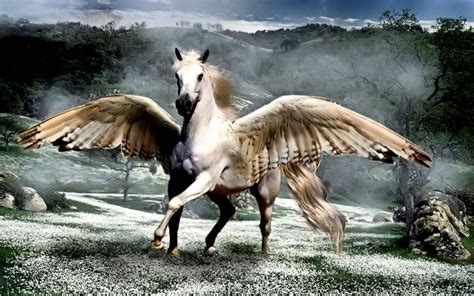 Pegasus Animal Beautiful Dream Fairytale Fantasy Horse Horses White