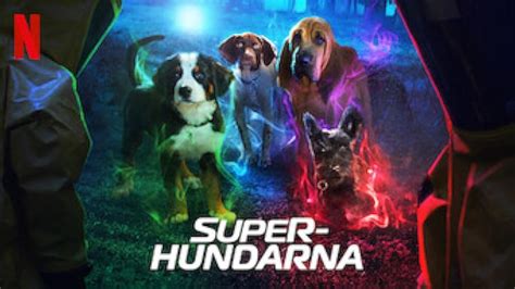 Super Pupz Tv Series 2022 Imdb