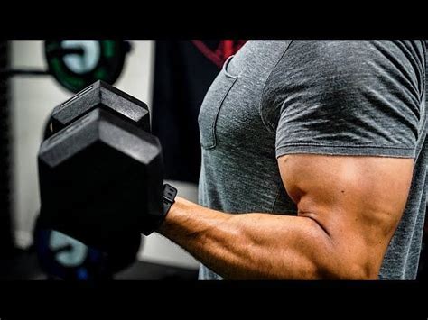 6 Best Long Head Bicep Exercises For Men