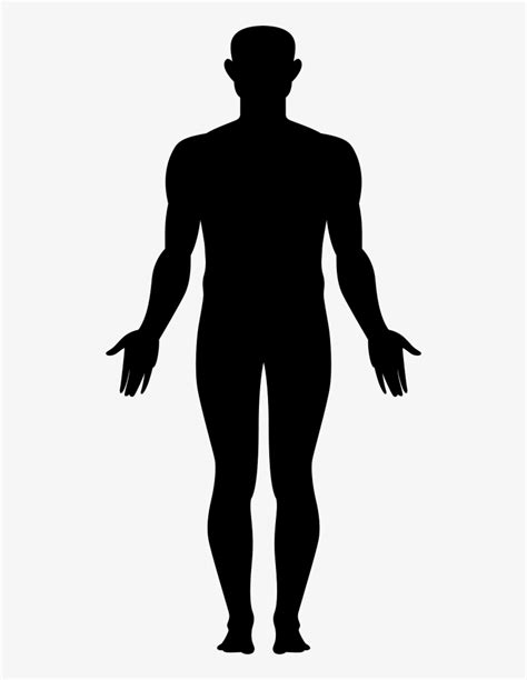 Body Icon At Vectorified Collection Of Body Icon Free For