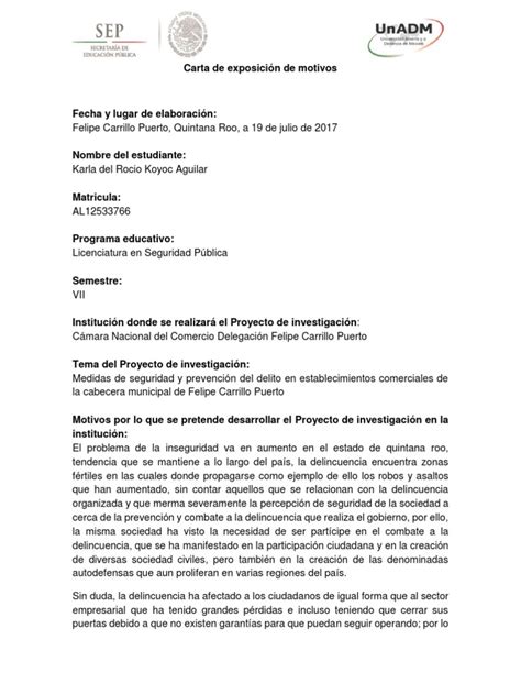 Carta De Exposición De Motivos Pdf Delito Gobierno