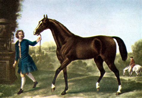 8 Most Famous Arabian Horses In History Stallions And Geldings