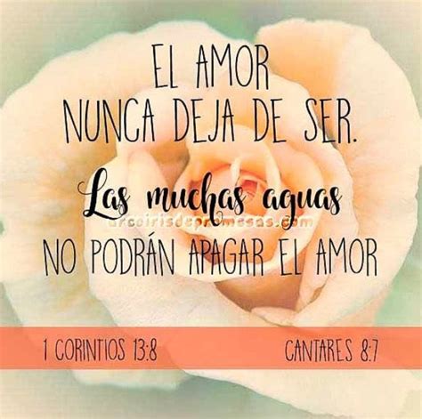 Pin De Alma Cruz En Dios Dice El Amor Biblia Biblia Cantares