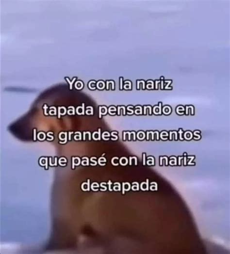 Yo con la nariz tapada pensando en los grandes momentos que pasé con la