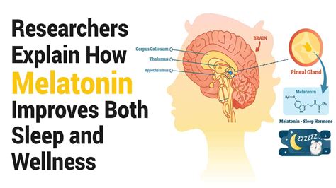 Researchers Explain How Melatonin Improves Both Sleep and Wellness