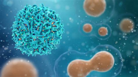 ¿cómo Actúa El Sistema Inmunológico Contra El Cáncer Mejor Con Salud