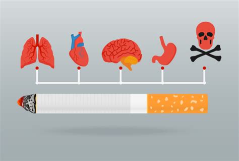 [diabète Et Tabac Les Méfaits Du Tabac Sur Votre Diabète