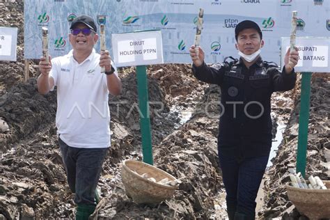 Target Produksi Gula Nasional Antara Foto