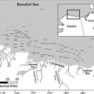 Alaska Beaufort Sea Shelf From Point Barrow To Camden Bay Alaska