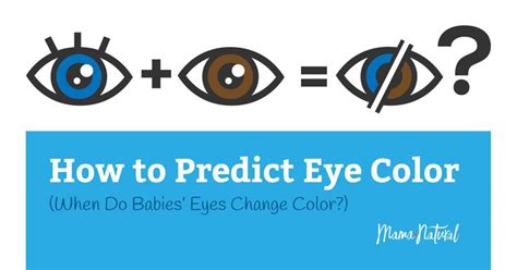 When Do Babies Eyes Change Color Will They Stay Blue Eye Color