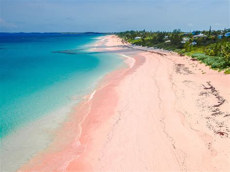 Pink Sand Beach