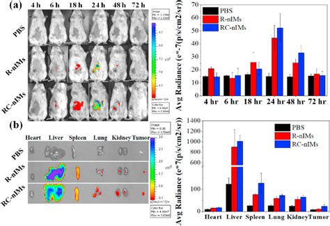 Biodistribution Of Cy Labeled R Nims And Rc Nims In T