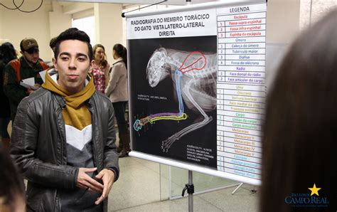 Medicina Veterinária realiza atividades de Diagnóstico por Imagem