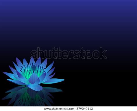 Blue Lotus Reiki Chakra Flower Stock Vector Royalty Free 379040113
