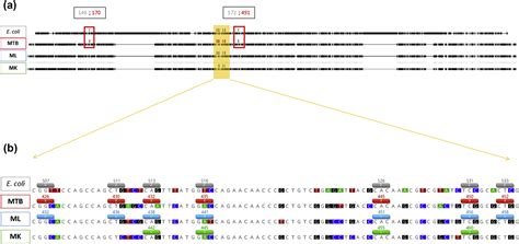 Consensus Numbering System For The Rifampicin Resistance Associated