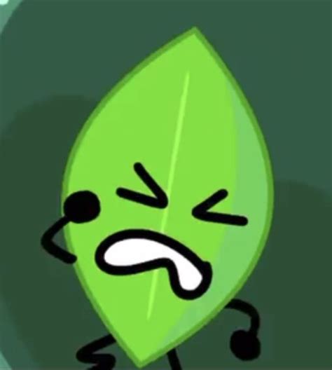 Leafy Bfb In 2023 Love U So Much Battle Character