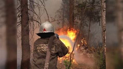 La Dura Lucha Contra Los Incendios En Rusia Rt