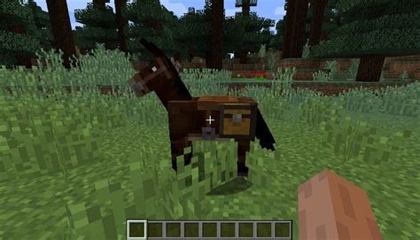 Come Addomesticare Un Cavallo Su Minecraft Salvatore Aranzulla