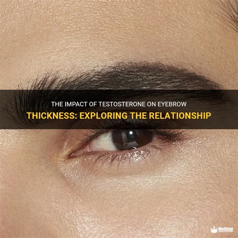 The Impact Of Testosterone On Eyebrow Thickness: Exploring The ...