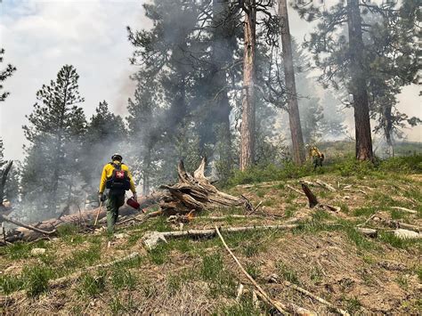 Idbof Boise National Forest Prescribed Fire Spring 2023 Incident ...