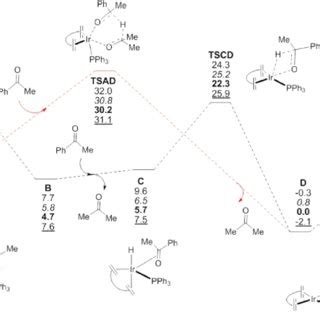 Gibbs Free Energy Profile Kcal Mol Relative To A And Isolated