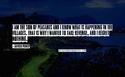 Gavrilo Princip quotes: wise famous quotes, sayings and quotations by ...
