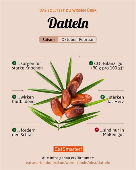 Datteln | Datteln, Lebensmittel essen, Gesunde nahrungsmittel